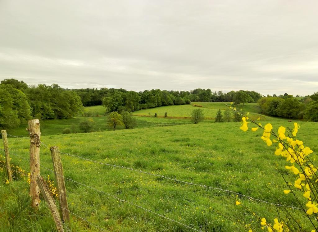 Les Forges De Planechaud Bed & Breakfast Saint-Priest-le-Betoux Bagian luar foto