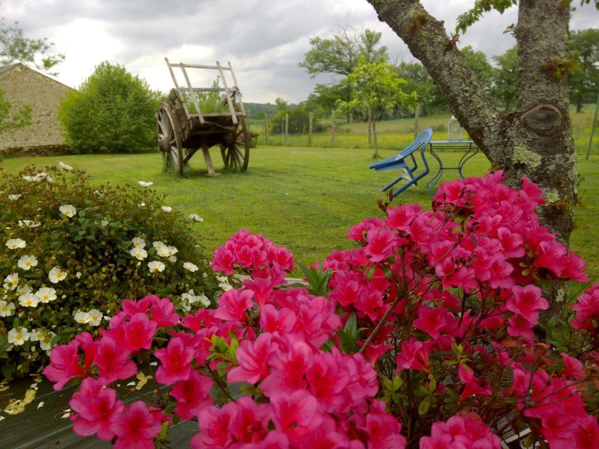 Les Forges De Planechaud Bed & Breakfast Saint-Priest-le-Betoux Bagian luar foto