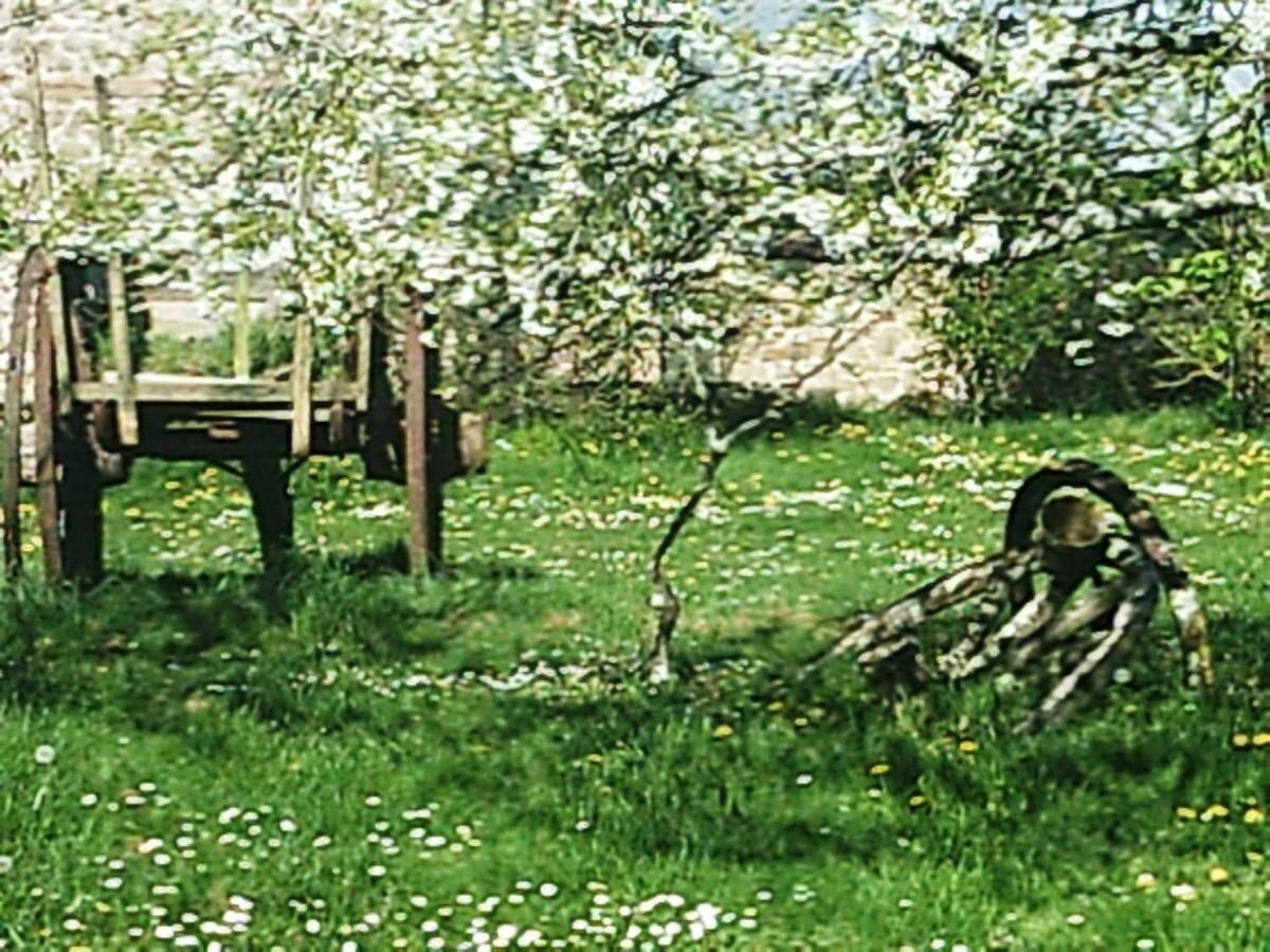 Les Forges De Planechaud Bed & Breakfast Saint-Priest-le-Betoux Bagian luar foto